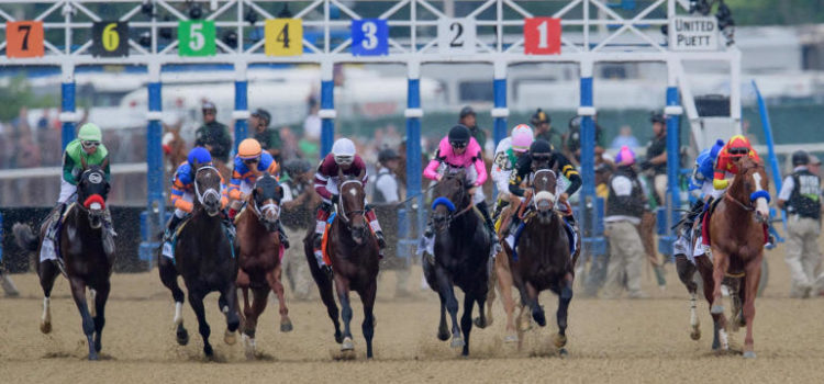 Belmont Stakes 2021 Forecast